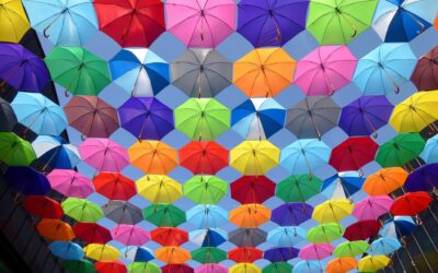 What is Your Personality Color?